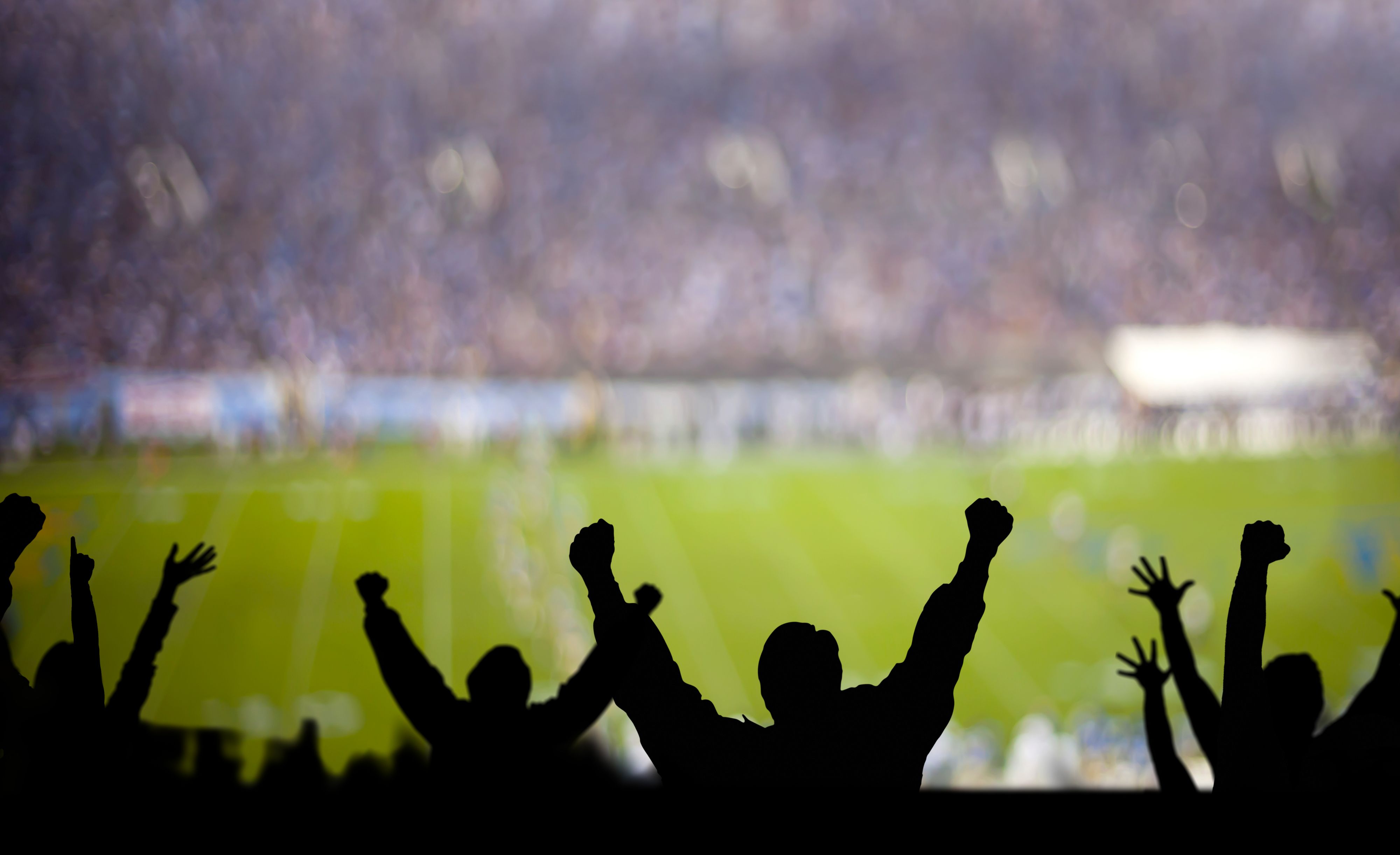 Fans excited at a futbol game